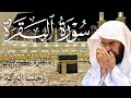 سورة البقرة | رقية للبيت وعلاج للسحر |الشيخ عبدالرحمن السديس Surah Al Baqarah القرآن الكريم