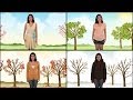 Understanding the Four Seasons