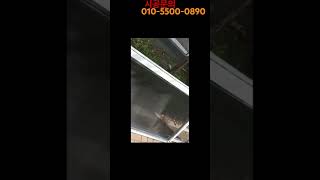 현장영상 3609) 방충망 미세망으로 교체하기 #shorts