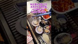 을숙도 영상