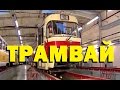 Галилео. Трамвай 🚋 Tram