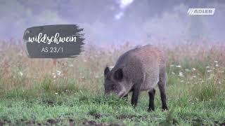 Adler Alpine Selection Wände Farbig Gestalten Ideen & Inspiration