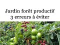 Jardin forêt productif - 3 erreurs à éviter