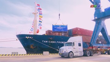 Reopening domestic container ship route from Cần Thơ to the North | Cần Thơ News