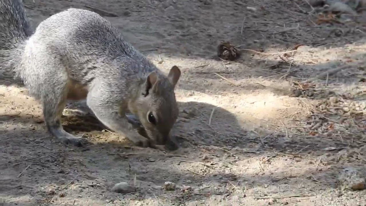 Yosemite NP  Verdal & Nevada Falls Trail