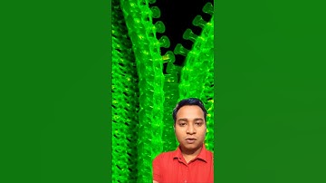 Zipper in macro video 😲😲 #zipper #macrofying #shortsfeed #shorts #greenscreen #viralshorts #macro