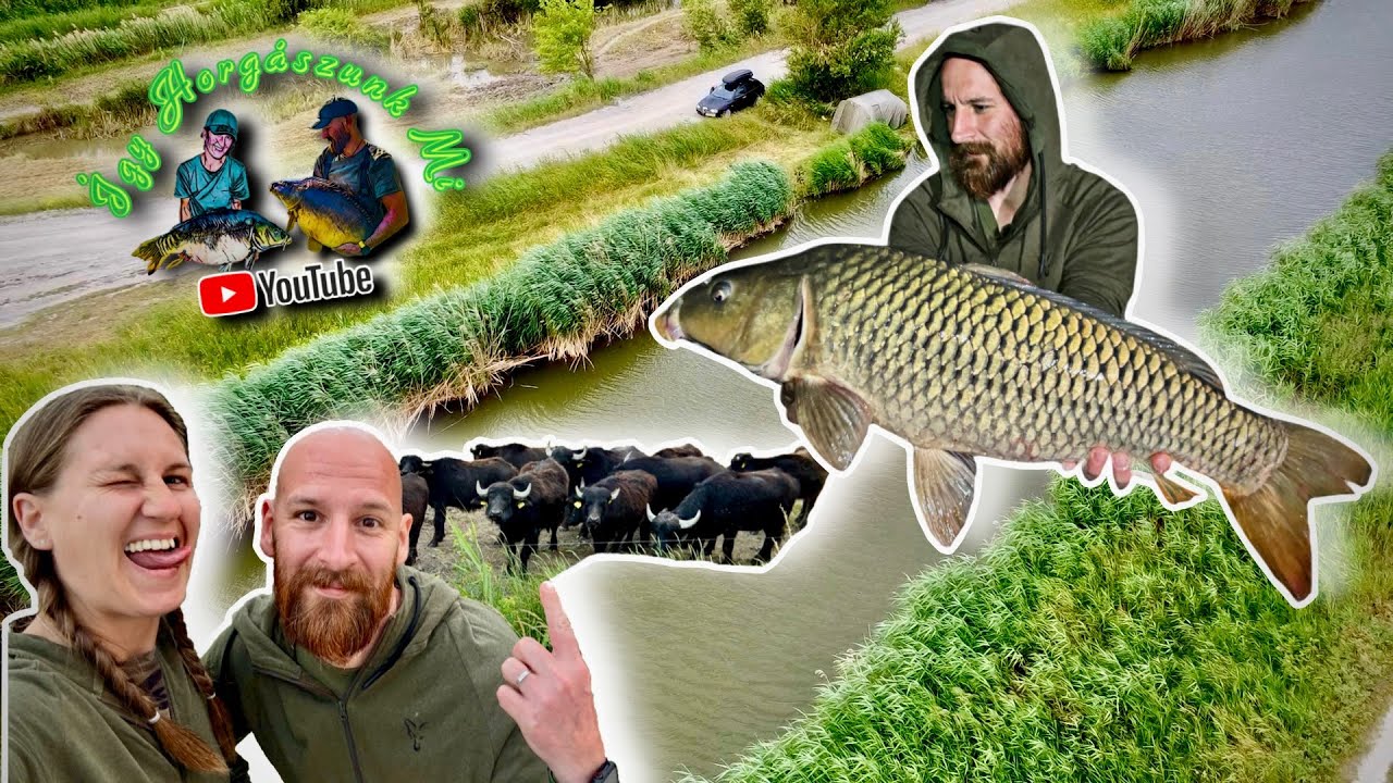 Egy újabb kis csatorna 🎣🐟 - Dömsödi-árapasztó csatorna 🐃