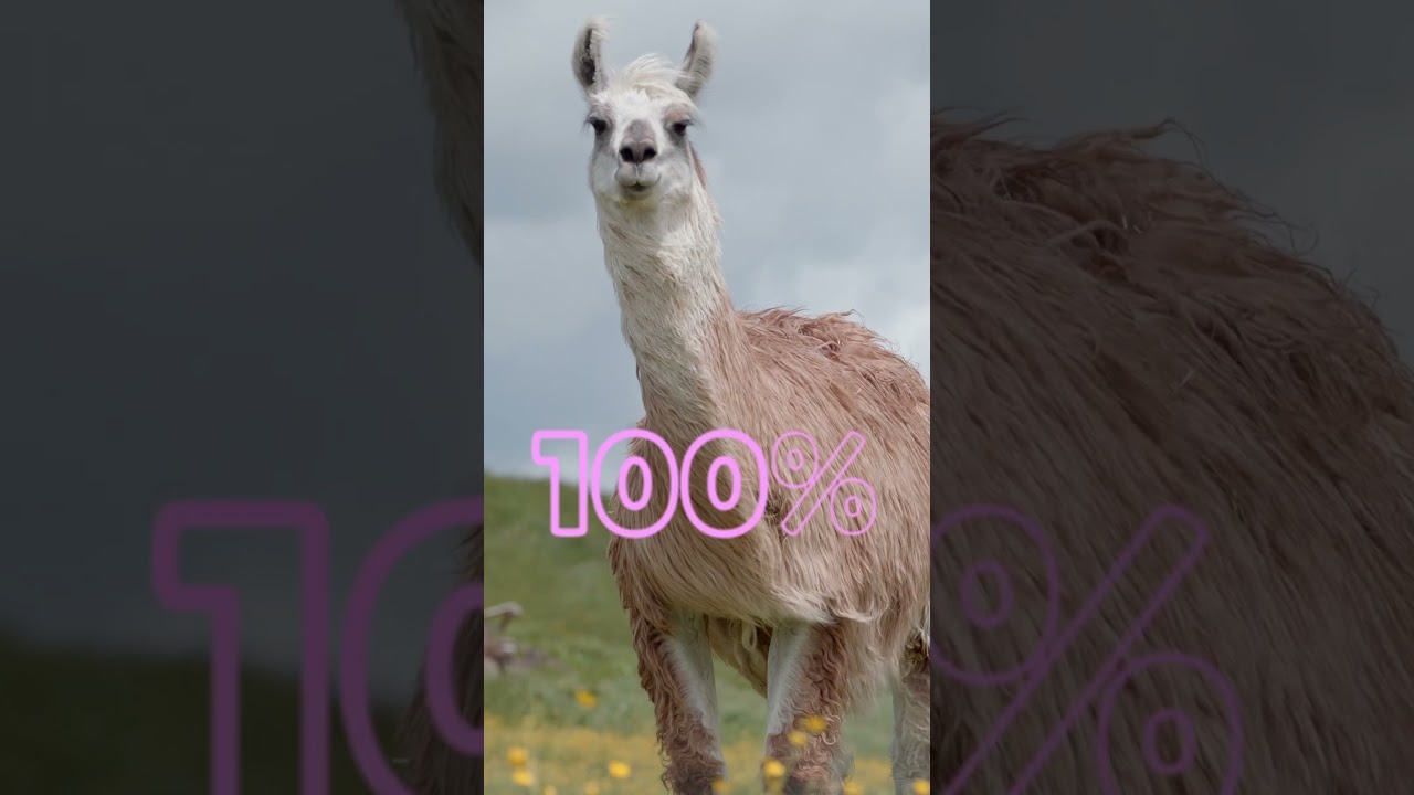 LLama