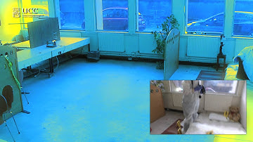 Chemistry at UCC - Crime Scene Investigation