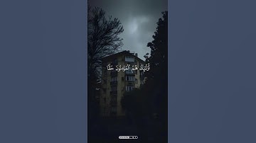 المنشاوي #قرآن #اكسبلور #تلاوة_خاشعة #قران_كريم #المصحف #القرآن_الكريم #المنشاوي