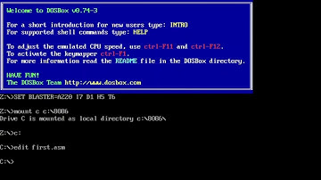 Copying the elements of Array 1 to Array 2 in DOSBOX|SCEM|CSE