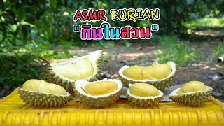 Mukbang durian in the garden. (먹방) รีวิวกินทุเรียนในสวน