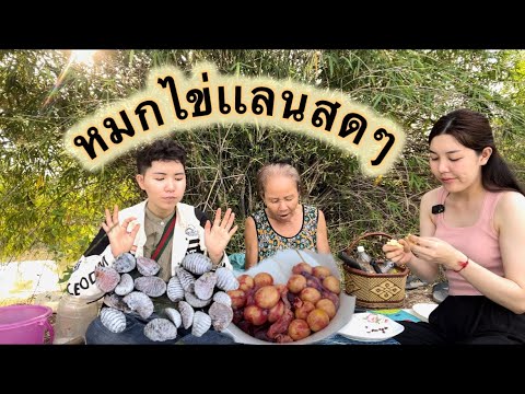 เมนูพิสดารหลายคนไม่เคยกิน🇱🇦หมกไข่เเลนสดๆ ไข่จั๊กจั่นอร่อยสุดยอด