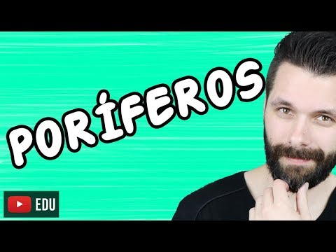 Vídeo: Por que a porifera está incluída no Reino Parazoa?