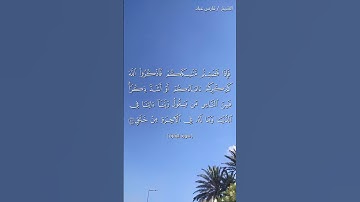 راحة نفسية مع القرآن الكريم #القرآن_الكريم #المصحف #اكسبلور