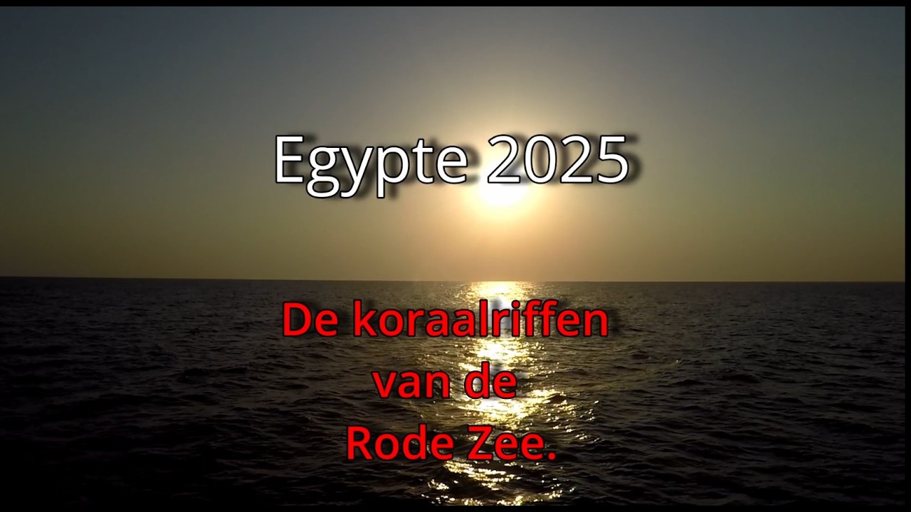 Egypte 2025 - De koraalriffen van de Rode zee - YouTube