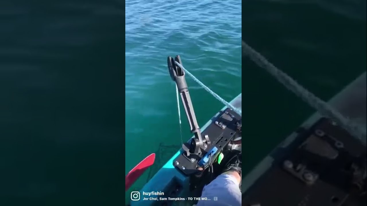 Pacific Yak Angler Mount with Scotty Trap-Ease 