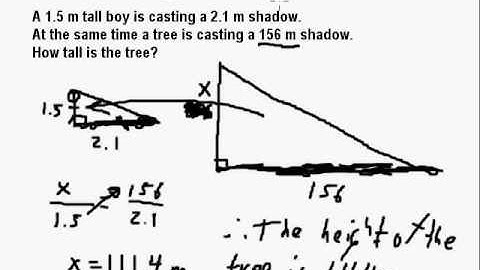 7. Similar Triangle Application Shadows