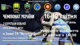 Чемпіонат України з вільної боротьби