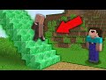 Minecraft NOOB vs PRO:WHERE DOES THIS RAREST EMERALD STAIRS LEAD IN VILLAGE! Challenge 100% trolling