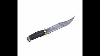 Pizza Bot Stabs A Women.