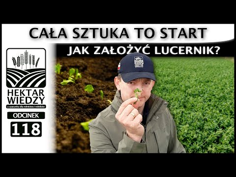 LUCERNA - CAŁA SZTUKA TO START  JAK ZAŁOŻYĆ LUCERNIK? | ODCINEK 118