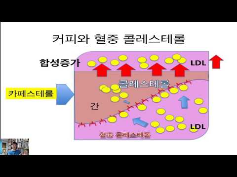 콜레스테롤낮추는방법