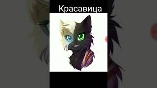 Арты и милые кошки Арты и милые кошки