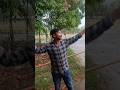 #video Dekha buni lagal para | #trending #bhojpuri #yt #song #dance #viral #reels #new #tuntunyadav