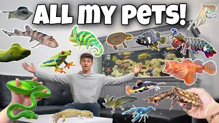 ALL My EXOTIC ANIMALS In ONE VIDEO!!