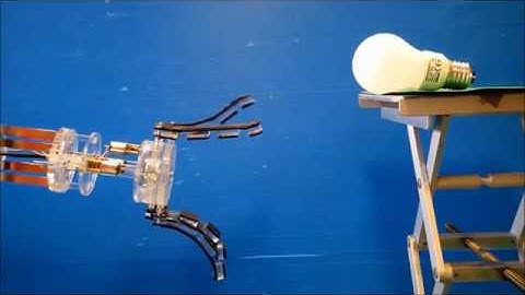 SIMBA: Tendon-Driven Modular Continuum Arm with Soft Reconfigurable Gripper