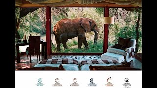 Amazing africa Safari lodges (Tintswalo safari lodge ,Tintswalo family camp & Tintswalo at Lapalala)