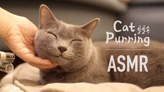 Cat purring ASMR