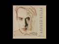 Peter Murphy Dragnet Drag mp3