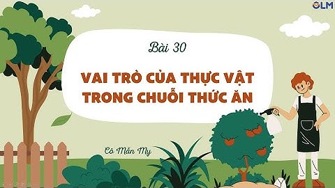 Bài 30. Vai trò của thực vật trong chuỗi thức ăn (phần 2) - Khoa học 4 - KNTTVCS - OLM.VN