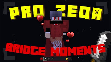 Pro Zeqa Bridge Moments (Montage)