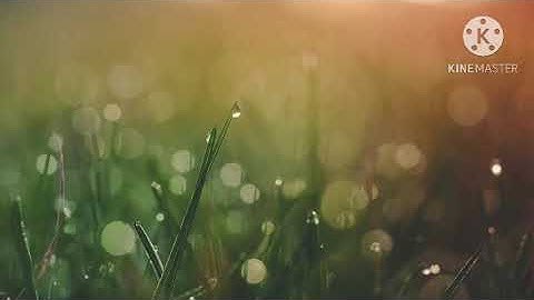 تلاوة عطره من سورة النازعات للقارئ عبدالله الشهراني