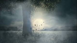 Relaxation Music With The Beauty Of The Full Moon Therapy For Deep Sleep No Copyright