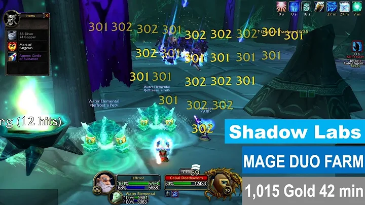 Gold Farming - Mage Duo Shadow Labs - No Boosting