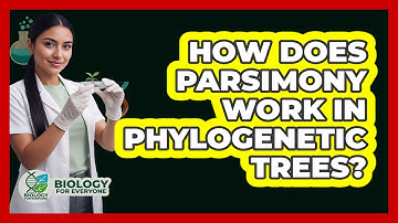 How Does Parsimony Work In Phylogenetic Trees? - Biology For Everyone