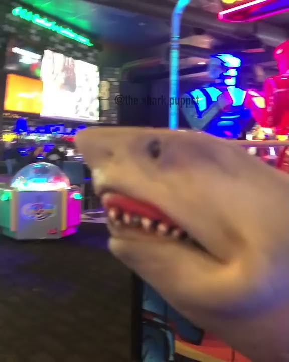 shark puppet plays flappy bird