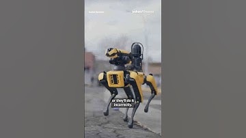 @BostonDynamics CEO: Robots are handling the boring jobs  #shorts