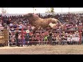 RAYITO DE LA TENENCIA - 21 TOROS DE RANCHO LOS DESTRUCTORES DE MEMO OCAMPO EN COPÁNDARO 2019