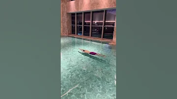 The Art Of The Dive 