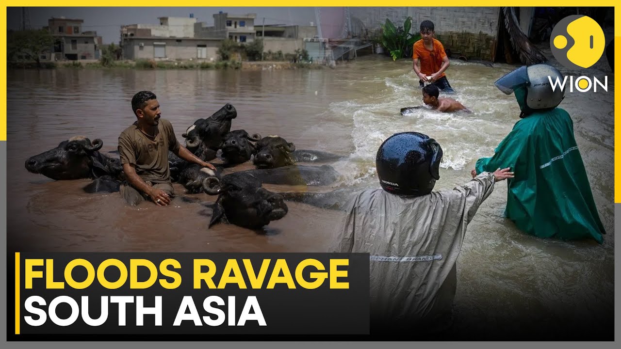 Death Toll in Southeast Asia Floods Tops 300 | WION