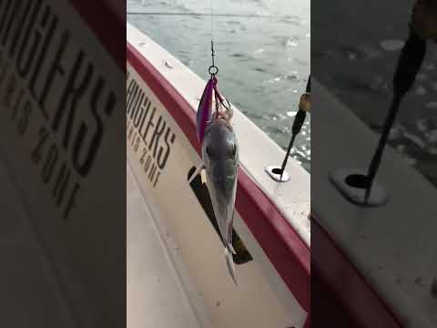 1st Strike Finned