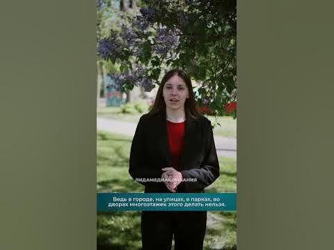 За сорванную сирень можно получить штраф до Br 2000 - YouTube