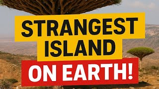 Uncovering Nature’s Secrets with Explorer Gan: The Hidden World You’ve Never Seen!