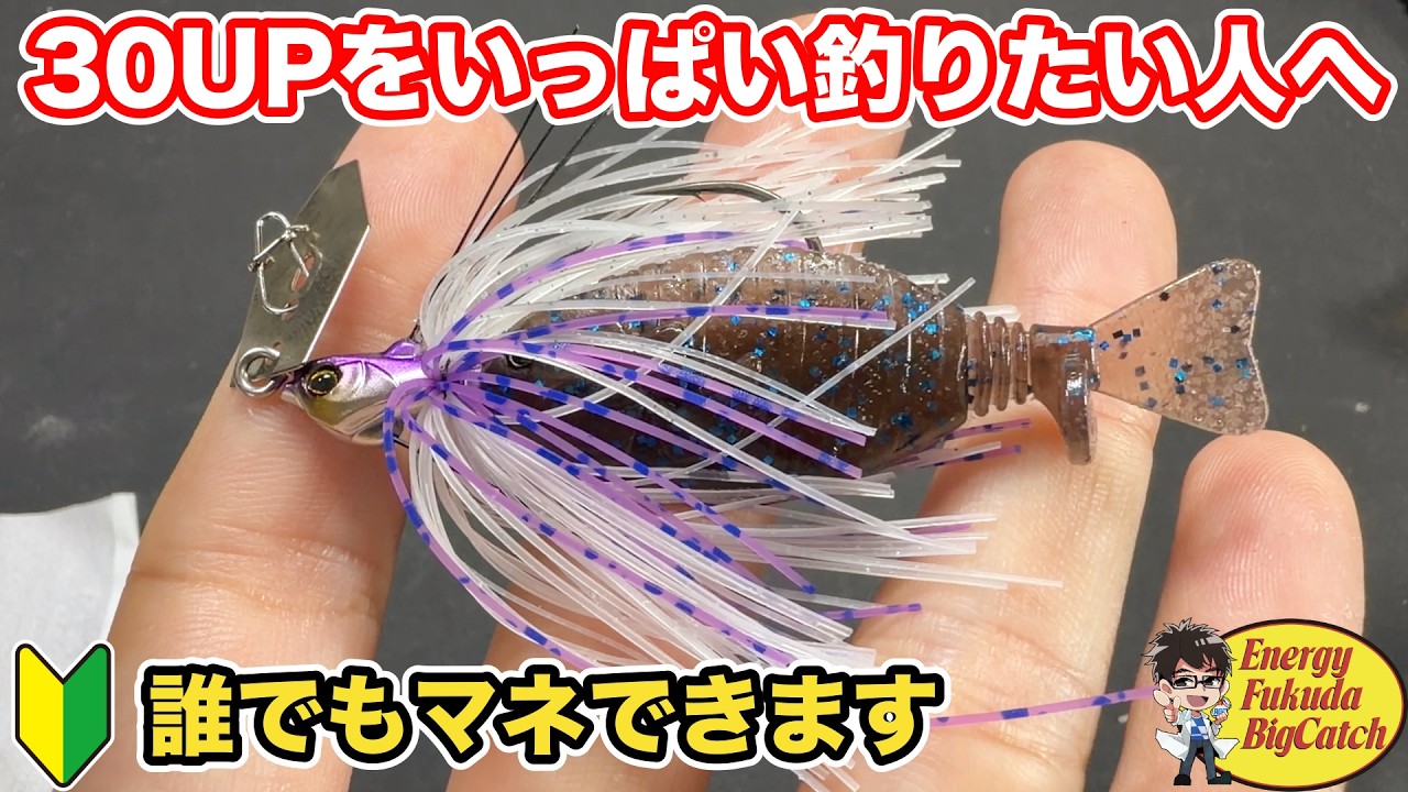 Want to Catch More Fish? Recommended Chatterbait Setup for