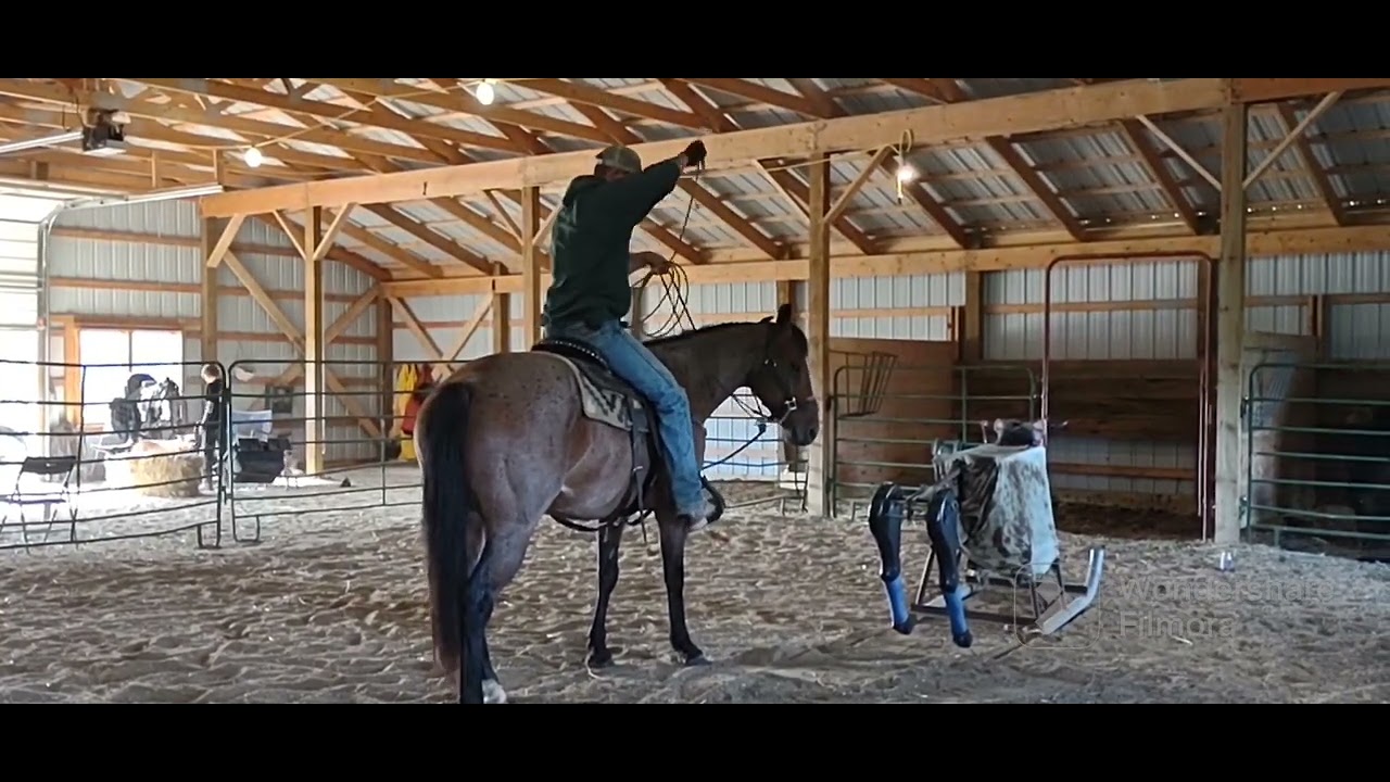 Roping Demo Head and Heel YouTube